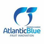 Atlantic Blue Berries Maroc