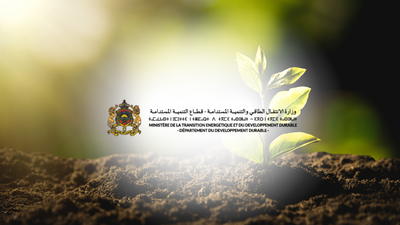 {{ project_page.title }}
